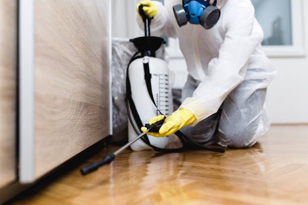 Reliable Cave Springs, AR Pest Control Solutions