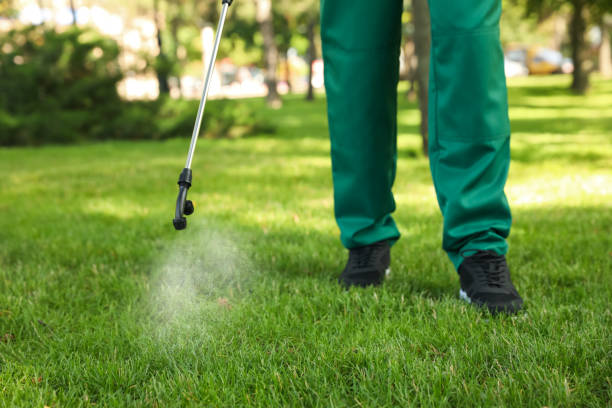 Best Local Pest Control Services  in Cave Springs, AR
