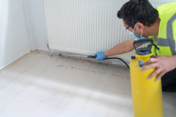Best Best Pest Control Companies  in Cave Springs, AR