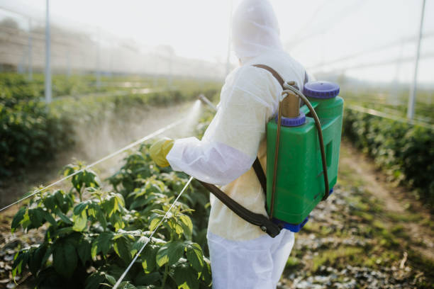 Best Best Pest Control Companies  in Cave Springs, AR
